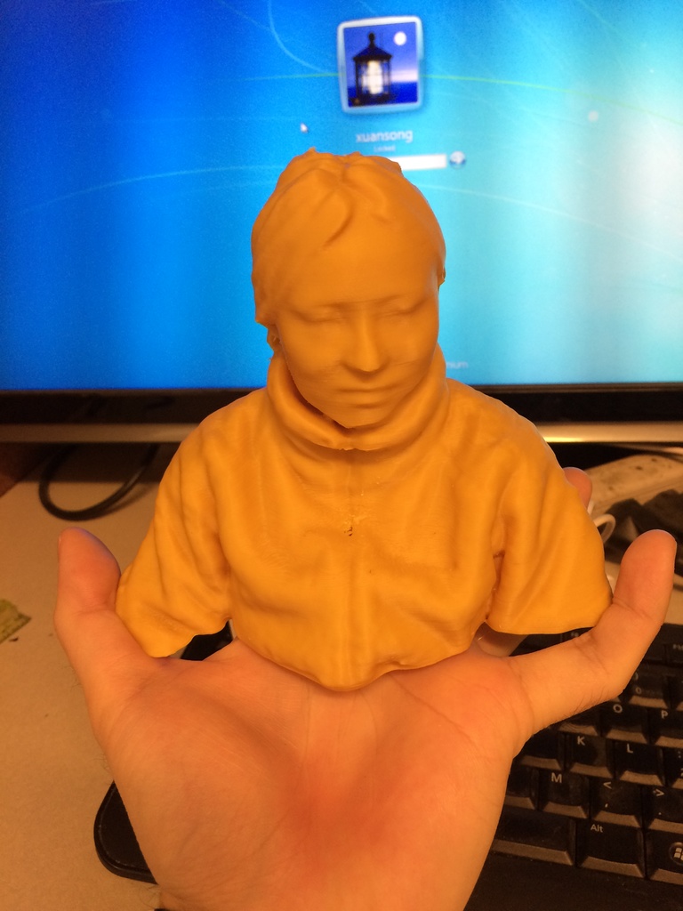 A 3D printed human bust