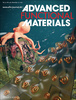 Cover of Advanced Functional Materials journal